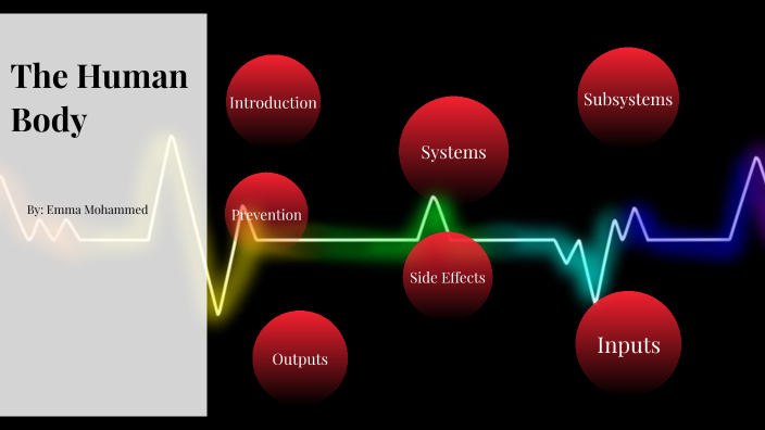 The Human Body by Emma Mohammed on Prezi