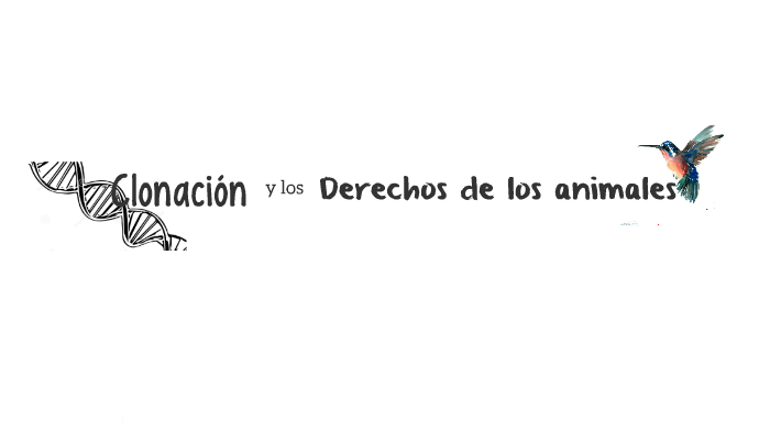 Derechos de los animales by Mariana Vazquez on Prezi