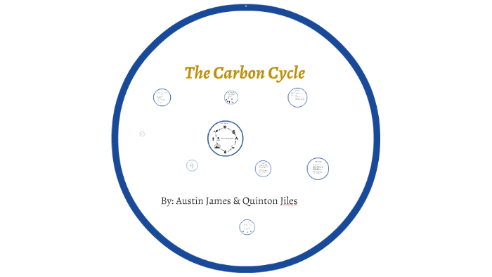 The Carbon Cycle by austin james on Prezi