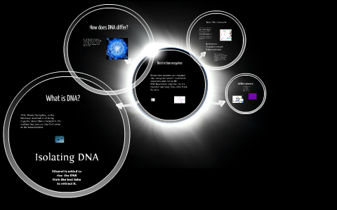 What is DNA? by Leah Casillas on Prezi