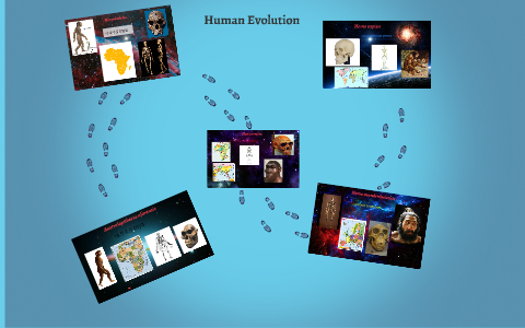 Human Evolution by Michael Flores on Prezi