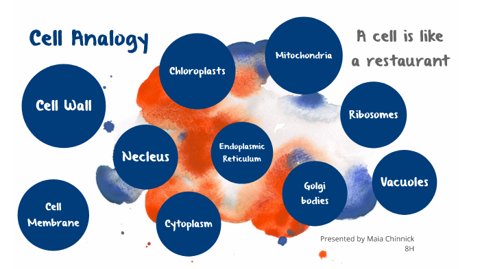 Science Cell Restaurant Analogy Task By Maia Chinnick On Prezi 7481