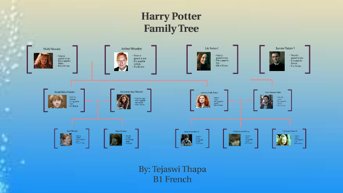 harry potter family tree