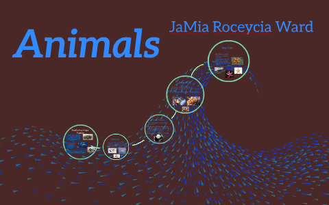 Leatherback Sea Turtles by Steven Lew on Prezi