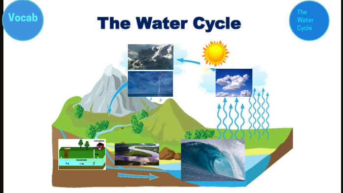 The Water Cycle by Kacey Alonzo on Prezi
