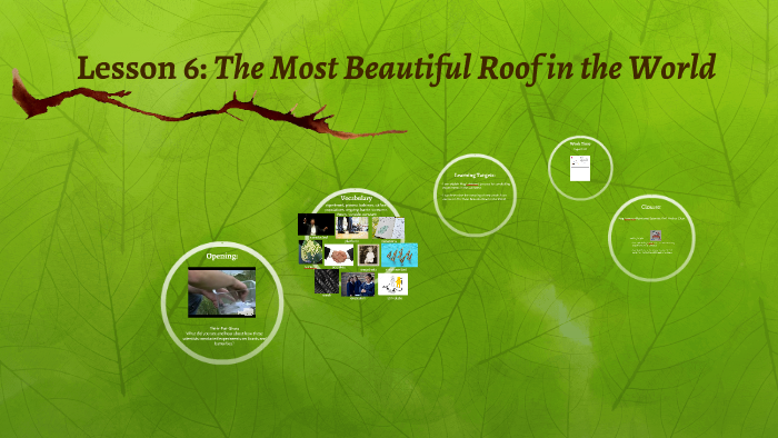 lesson-6-the-most-beautiful-roof-in-the-world-by-devin-guinnip