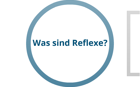 Reflexe Und Reflexbogen By Stefanie Harms On Prezi