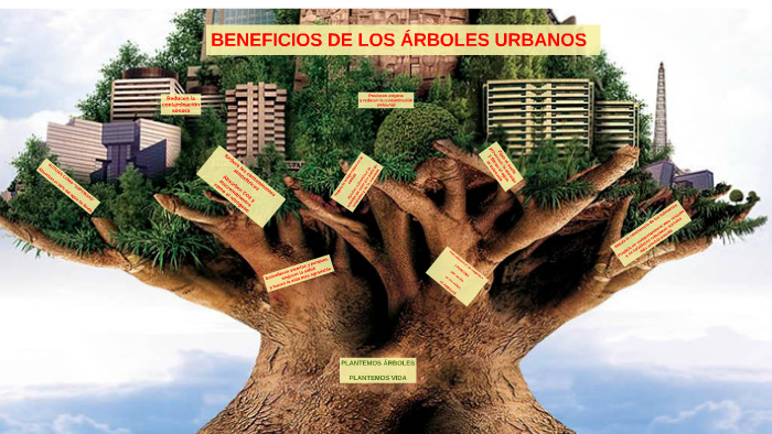 BENEFICIOS DE LOS ÁRBOLES URBANOS by Cecilia Fleckenstein