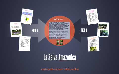 La Selva Amazonica by celeste nosthas on Prezi