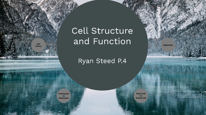 Cell Structure by Ryan Steed on Prezi