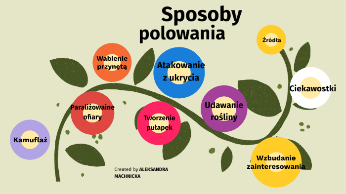 Sposoby Polowania Drapieżników Sposoby polowania by Ola Machnicka on Prezi