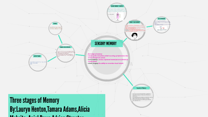 Three stages of Memory by lauryn henton on Prezi