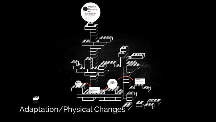 Adaptations And Physical Changes For Pandas by Luis Gardea on Prezi