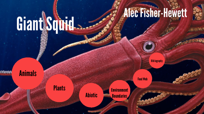Giant Squid Ecosystem Project by Alec FisherHewett on Prezi