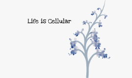 Biology Chapter 7 Section 1 Life is Cellular by Jim Casagrande on Prezi