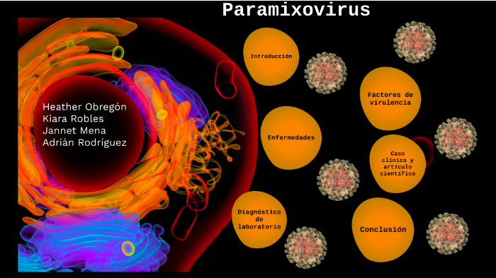 estructura de paramixovirus