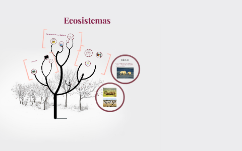 Ecosistemas by Claudia Olivos on Prezi