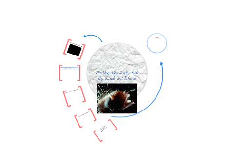 Deep-Sea Angler Fish- Newer by Sarah Denn on Prezi