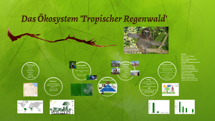 Das Okosystem Tropischer Regenwald By Anna Lehnsherr