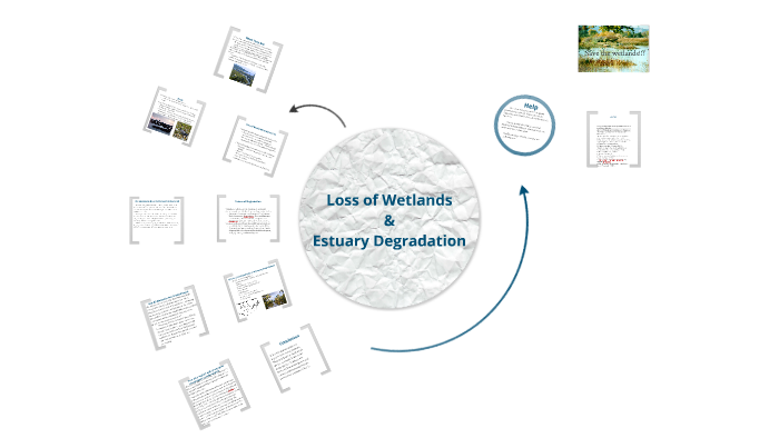 Estuary Degradation Definition