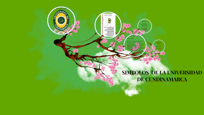 SIMBOLOS DE LA UNIVERSIDAD DE CUNDINAMARCA by Dììlân Bocanegra
