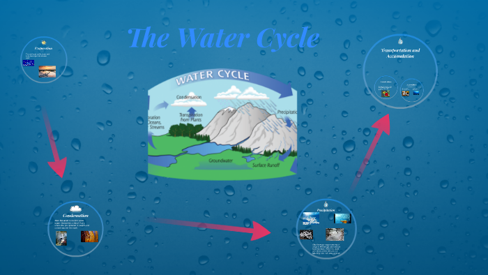 The Water Cycle by Heather Charles on Prezi