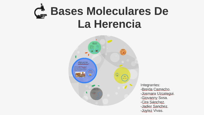 Bases Moleculares De La Herencia By Giovanny Sosa Calderon On Prezi