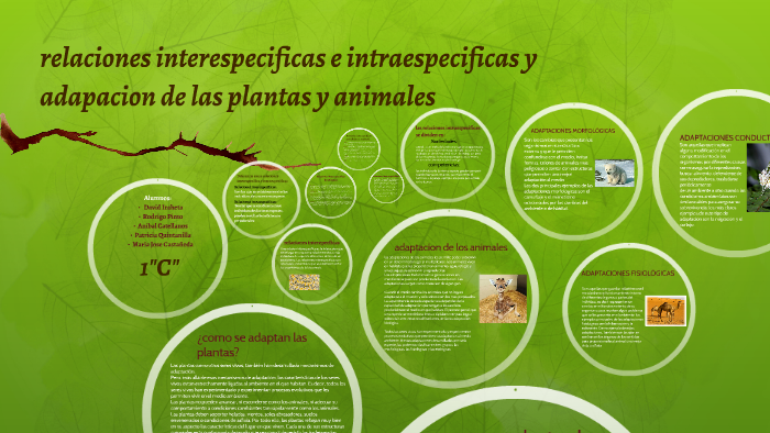 Relaciones Interespecificas E Intraespecificas By David Iraheta On Prezi 8902