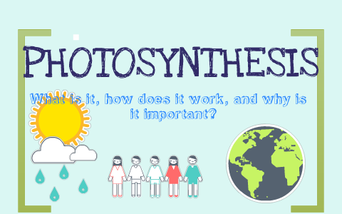 Photosynthesis Project By Patricia Sibal