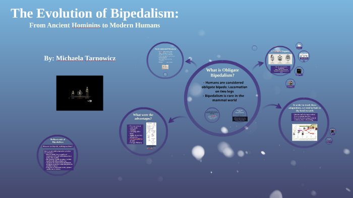 The Evolution of Bipedalism: by Michaela Tarnowicz on Prezi