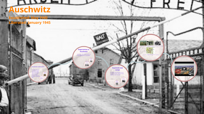 Auschwitz by Sam Fassbender on Prezi