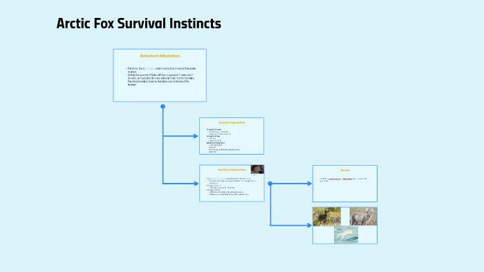 Arctic Fox Survival Instincts by Charmae Trevino on Prezi