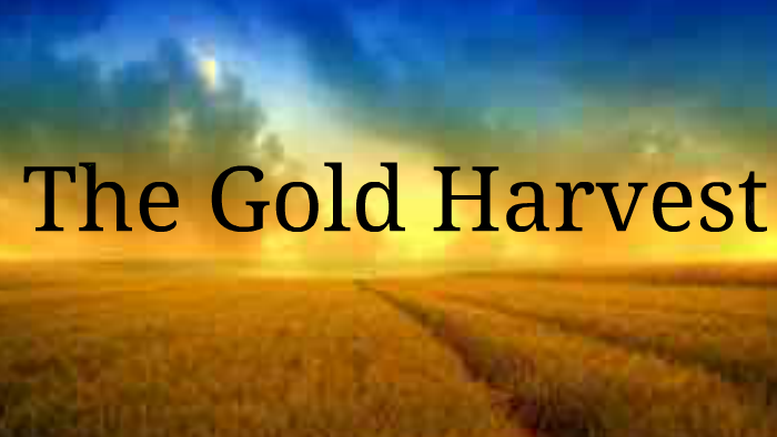 The Gold Harvest by Lumagui Marshelly on Prezi