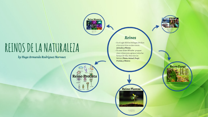 REINOS DE LA NATURALEZA by Ena De la Ossa Hoyos on Prezi