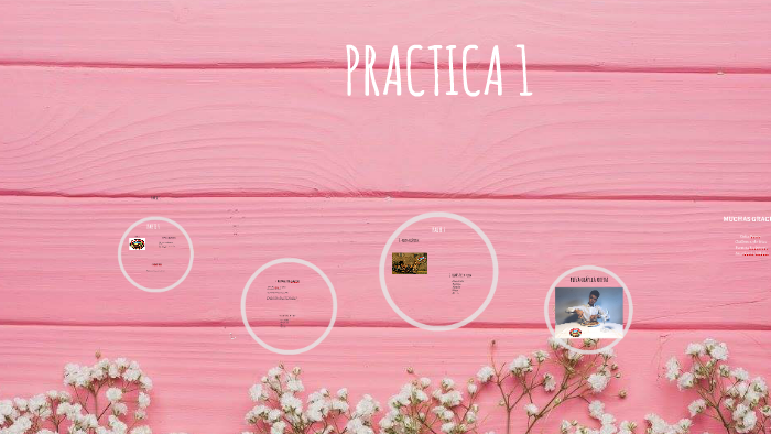 PRACTICA 1 by on Prezi