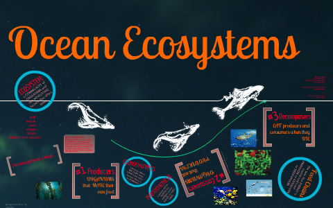 Ocean Ecosystems by Victoria Whitmore