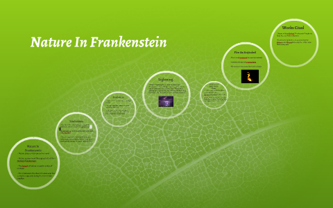 presentation of nature in frankenstein