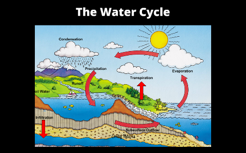 The Water Cycle by Emily Harris on Prezi