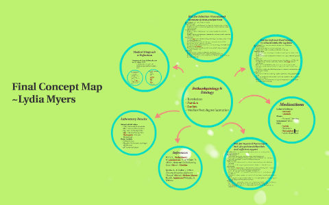 Final Concept Map by Lydia Myers on Prezi