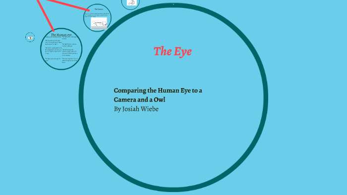 The Eye by on Prezi