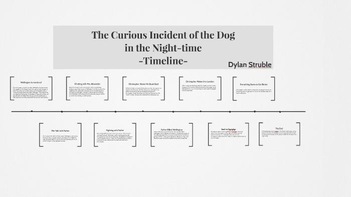 The Curious Incident Of The Dog In The Nighttime Plot prezi.com