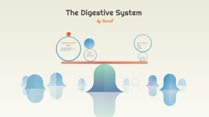 The Digestive System by terrell robinson on Prezi