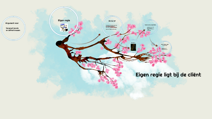 Eigen regie in de zorg by mandy spronk on Prezi