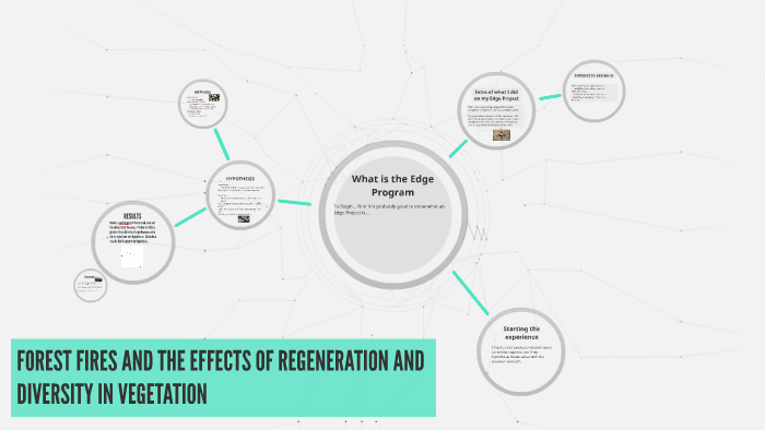 FOREST FIRES AND THE EFFECTS OF REGENERATION AND DIVERSITY I by Megan ...