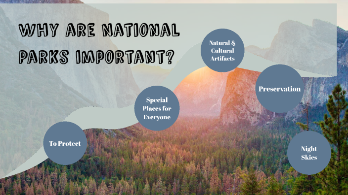 Why National Parks? Because They're Wild, Wonderful, and Worth It!