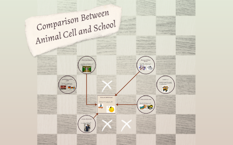 Comparison Between Animal Cell and School by Adrian Velasco on Prezi