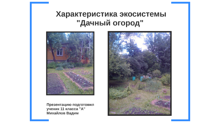 Характеристика экосистемы "Дачный огород" by on Prezi