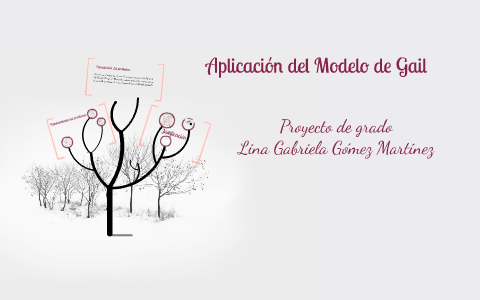 Aplicación del Modelo de Gail by Lina Gabriela Gómez Martínez on Prezi Next