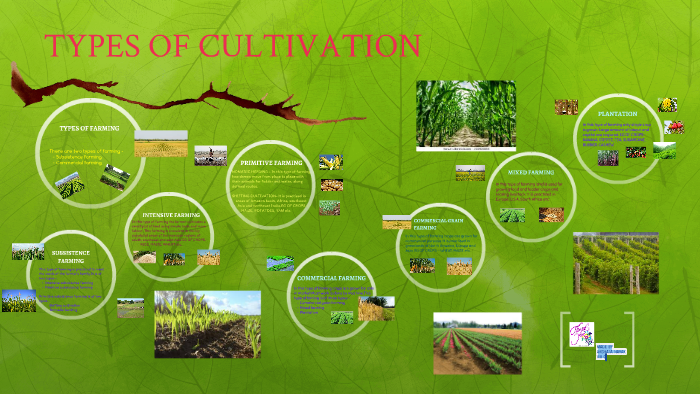 TYPES OF CULTIVATION by Akshata Nayak on Prezi