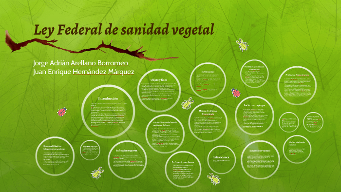 Ley Federal de sanidad vegetal by Daniela Guferi on Prezi